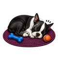 Paws & Dreams - Boston Terrier