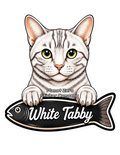 White Tabby, Cat