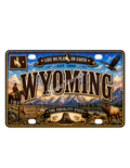 50 State License Plate Sticker Collection •WY•