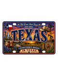 50 State License Plate Sticker Collection •TX•