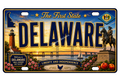 50 State License Plate Sticker Collection •DE•
