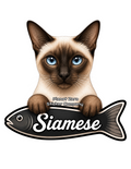 Siamese, Cat