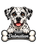Dalmatian