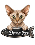 Devon Rex, Cat