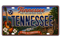 50 State License Plate Sticker Collection •TN•