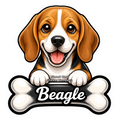 Beagle