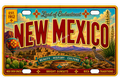 50 State License Plate Sticker Collection •NM•