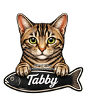 Tabby, Cat