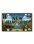 50 State License Plate Sticker Collection •NH•