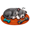 Paws & Dreams - Pit Bull Terrier