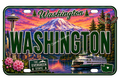 50 State License Plate Sticker Collection •WA•