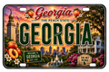 50 State License Plate Sticker Collection •GA•