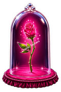 Rose Full of Beauty
