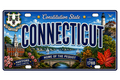 50 State License Plate Sticker Collection •CT•