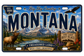 50 State License Plate Sticker Collection •MT•