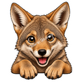 Peekaboo Pals - Coyote