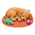 Paws & Dreams - Apricot Poodle