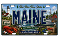50 State License Plate Sticker Collection •ME•