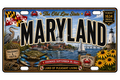 50 State License Plate Sticker Collection •MD•